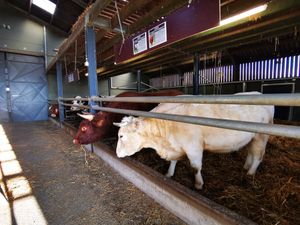  at Animaux en Péril in Isieres