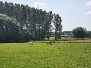  at Animaux en Péril in Isieres