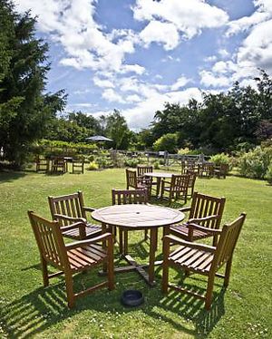 Garden at The Windmill in Macclesfield