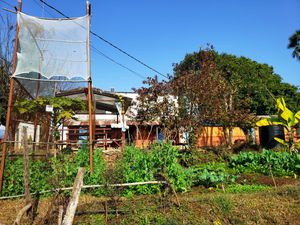 I loved it! at Mountain View Eco Farm in Lekhnath