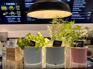 inside at Swing Kitchen - Georgenstraße in Berlin