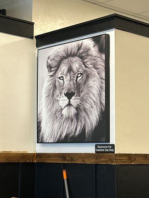 Lion art   at Nissi Vegan in Austin
