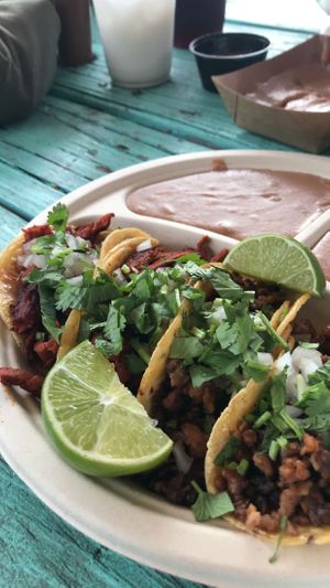 Best tacos I've had since going Vegan. Loved the queso as well. The men that run it are super sweet too.  at Nissi Vegan in Austin