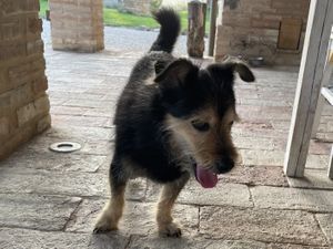   at Country Relais Coroncina in Belforte Del Chienti