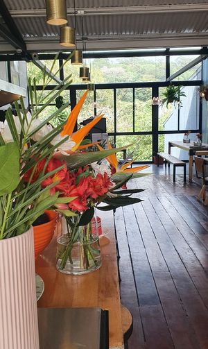 . at The Open Kitchen in Monteverde