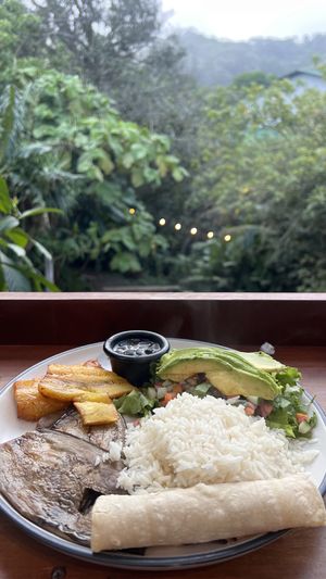 Costa rican dish  at The Open Kitchen in Monteverde