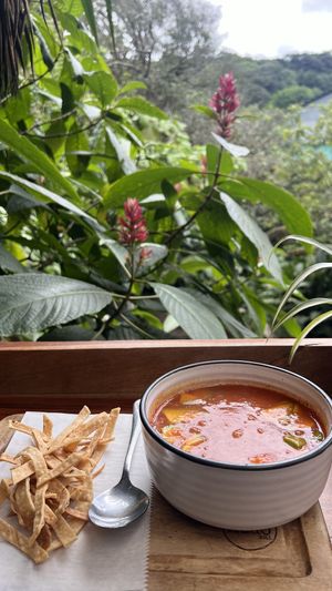 Aztec soup  at The Open Kitchen in Monteverde