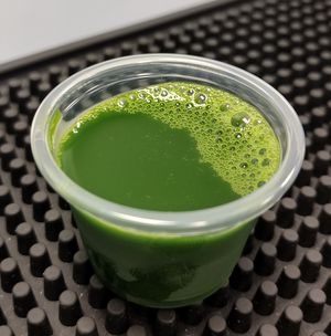 Wheatgrass Shot (limited availability) at Alkalicious Cold Pressed Juice Bar in Chesapeake