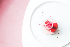 Mini Planthropie cake at Planthropie in Birmingham