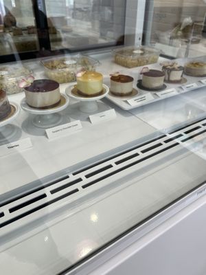   at Planthropie in Birmingham