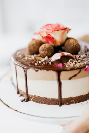 Custom cake  at Planthropie in Birmingham