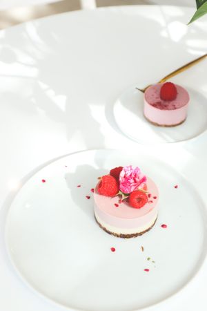 Mini Planthropie raspberry cream  mousse cake. at Planthropie in Birmingham