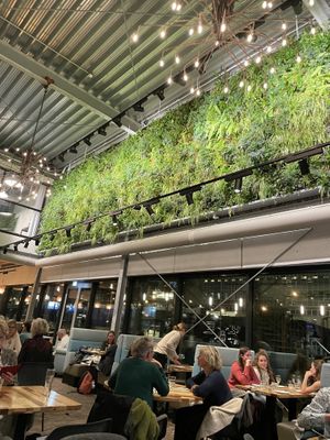 Inside  at The Green House in Utrecht