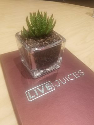 Will be back for the juice bar. at A Live Kitchen in Queens