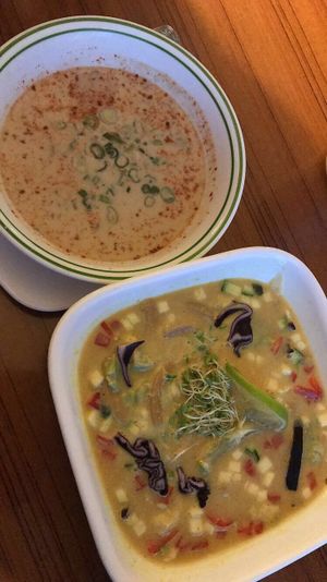 cream of mushroom soup & AMAAZING raw thai soup at Leafy Greens Cafe in St Petersburg