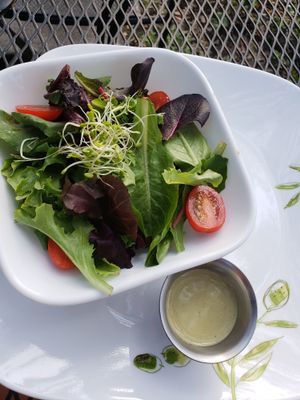 Side salad at Leafy Greens Cafe in St Petersburg