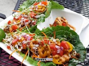 tacos at Leafy Greens Cafe in St Petersburg