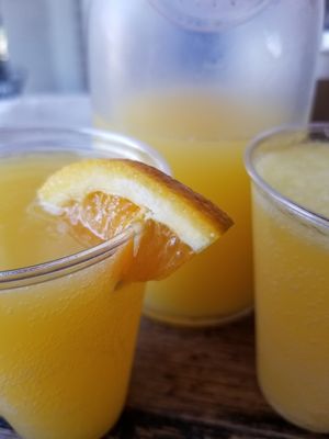 Mimosas at Melt Revival in Cincinnati