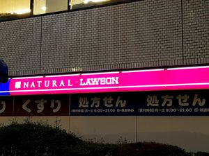 Convenience store with GF, vegan and organic options at Natural Lawson - Ueno in Tokyo