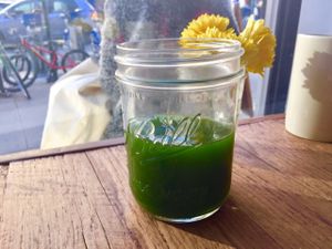 green stuff! at Sun in Bloom in Brooklyn