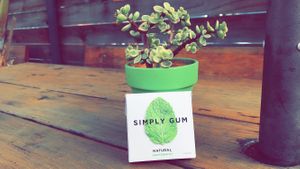 A pack of gum I purchased along with the beautiful succulents on the porch at AVO Cafe in Santa Monica