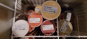  at Bagelboys Restaurant & Bakery in Zurich