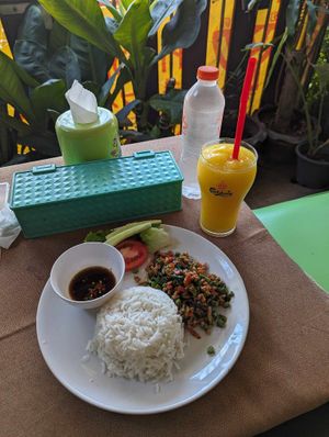 Mango smoothie and a dish I forgot, I think it was the basil and chilies dish with rice at Mhee Yim Vegetarian Food in Hua Hin