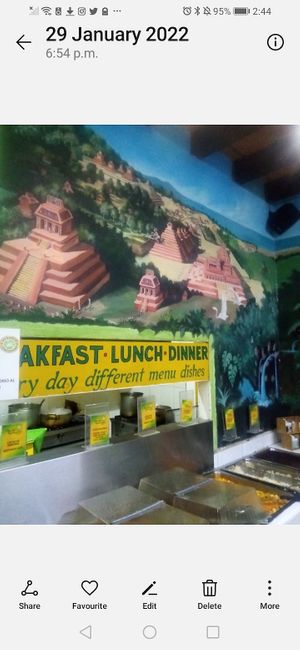 Great artwork #Veganuary at Planeta Vegetariano in Puerto Vallarta