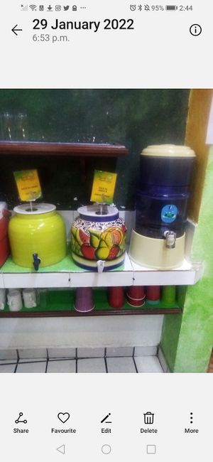 They let me fill a small water bottle to go. How cool is that?😄 #Veganuary at Planeta Vegetariano in Puerto Vallarta