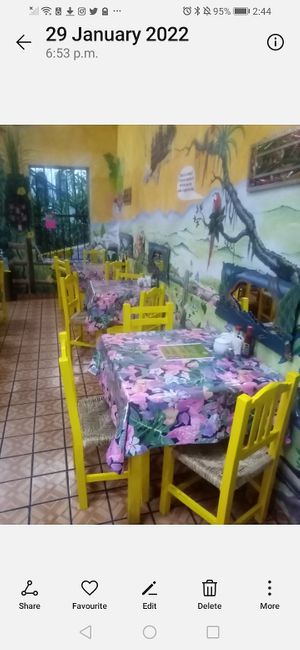 Very colorful #Veganuary at Planeta Vegetariano in Puerto Vallarta