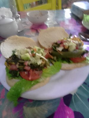 Now that's a burger:) at Planeta Vegetariano in Puerto Vallarta