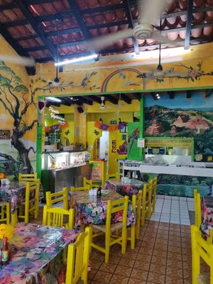 Inside at Planeta Vegetariano in Puerto Vallarta