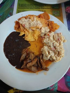 Beans, tofu, chilaquiles, soy meat at Planeta Vegetariano in Puerto Vallarta