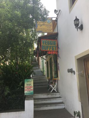 Outside  at Planeta Vegetariano in Puerto Vallarta