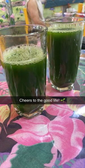 Green juice  at Planeta Vegetariano in Puerto Vallarta