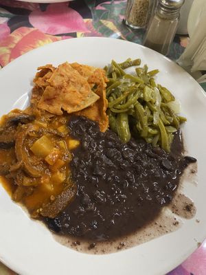 All plants at Planeta Vegetariano in Puerto Vallarta