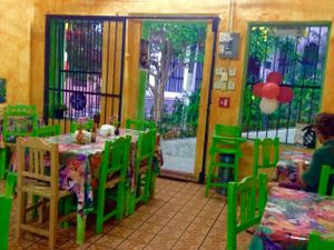 Bright colors inside, nature outside at Planeta Vegetariano in Puerto Vallarta