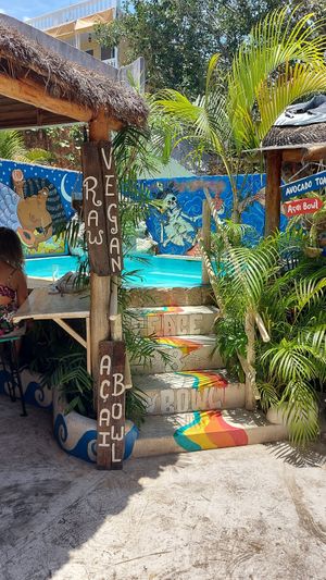Backyard Pool at Peace & Bowl in Playa Del Carmen
