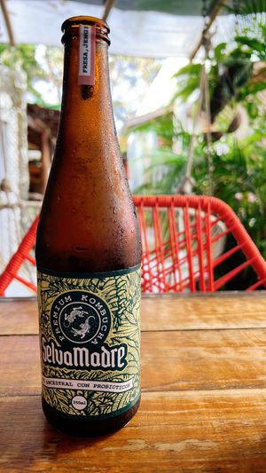 riquísima kombucha  at Peace & Bowl in Playa Del Carmen