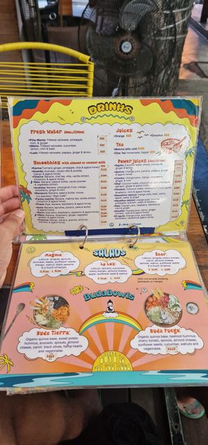 Menu2 at Peace & Bowl in Playa Del Carmen