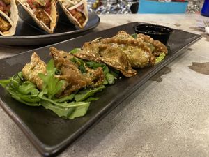 Spinach Gyoza Dumplings.  at Moondog in Key West