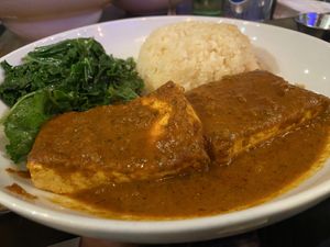Tofu Vindaloo.  at Moondog in Key West