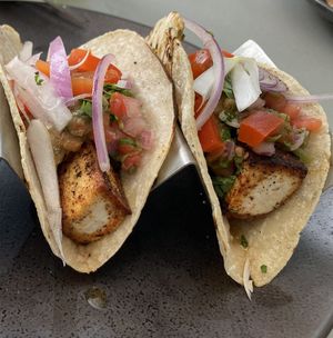   at Moondog in Key West