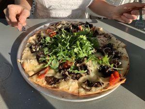 Roasted Mushroom, Truffle & Fontina:
mixed mushrooms, garlic, fresh herbs, vegan cheese, oil-cured tomatoes, truffle oil & arugula at Moondog in Key West