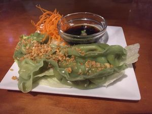 Veg Gyoza (vegan) at Thai Cuisine in Key West