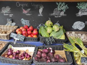 Vegs at The Happy Pear in Greystones