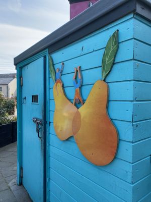   at The Happy Pear in Greystones