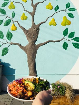 Buddha bowl at The Happy Pear in Greystones