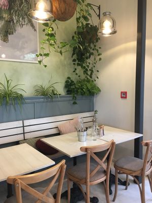 Plants everywhere  at KIND in Auckland