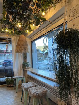  #Veganuary at Mandala Café & Yoga in Oberstdorf